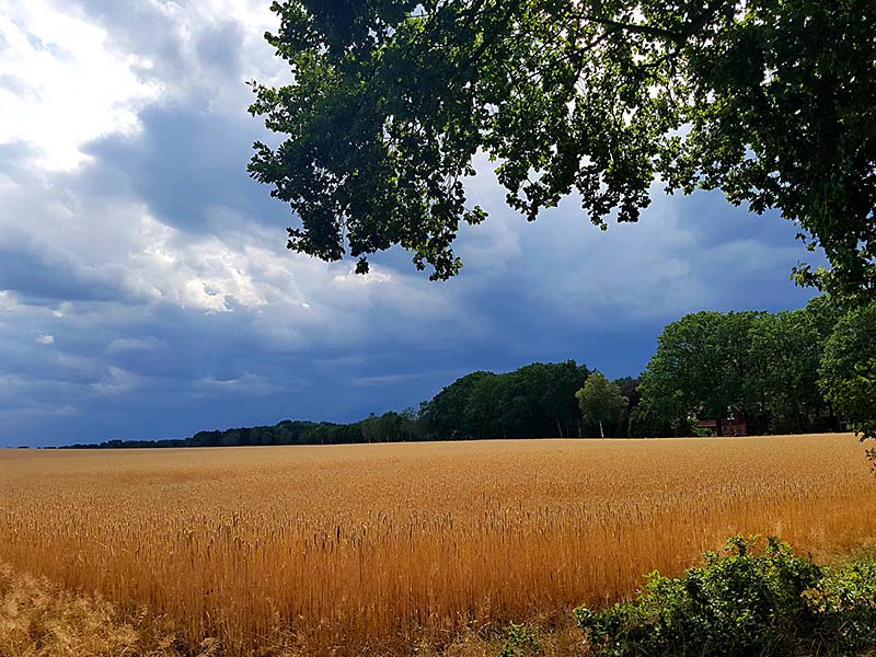 Impressionen-aus-Luenzen_01