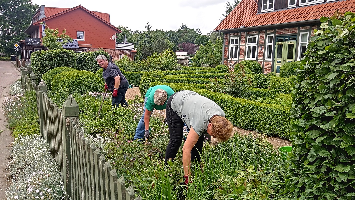 Bauerngarten am Heimathaus, 8. Juni 2022